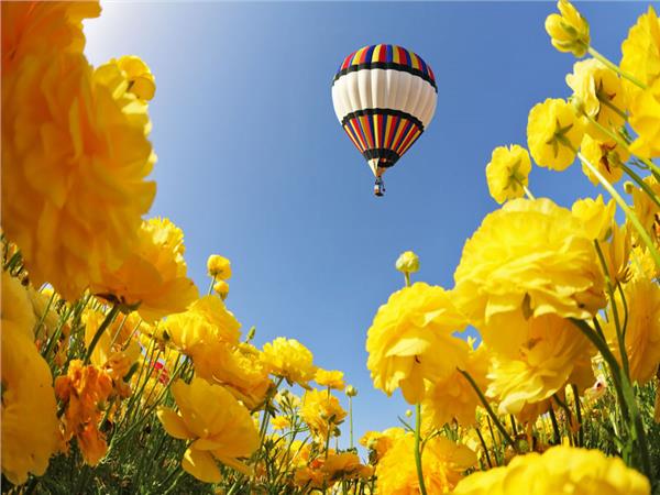 Balon Manzara Duvar Kağıdı 002