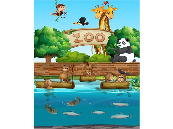 Hayvanlar Alemi Çocuk Odası Duvar Kağıdı Panda