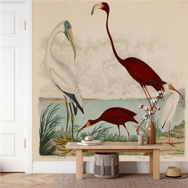 Flamingo Tasarım Duvar Kağıdı