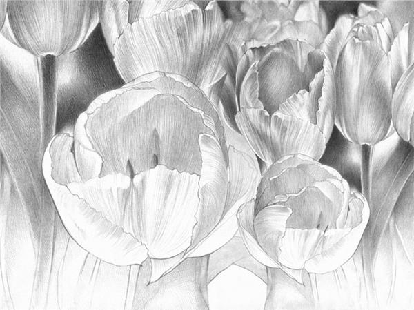 Floral Özel Tasarım Duvar Kağıdı