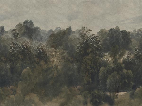 Forest Sanatsal Tasarım Duvar Kağıdı