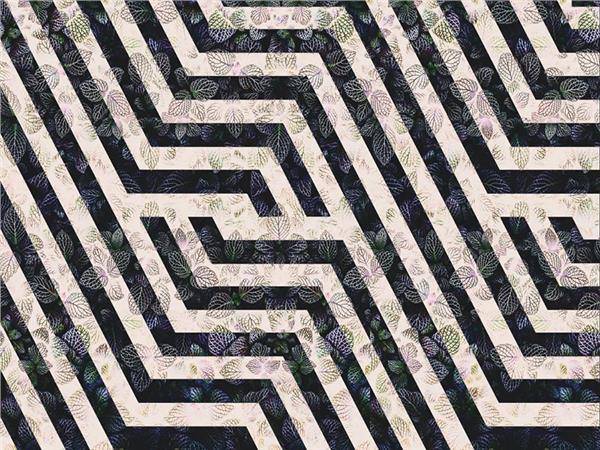Geometrik Desen ve Yaprak Özel Tasarım Duvar Kağıdı