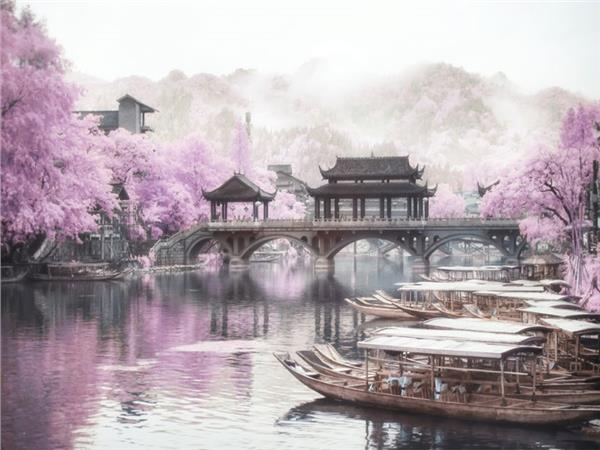 Japanese Özel Tasarım Duvar Kağıdı