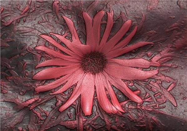 Kırmızı Çiçek 3D Duvar Kağıdı