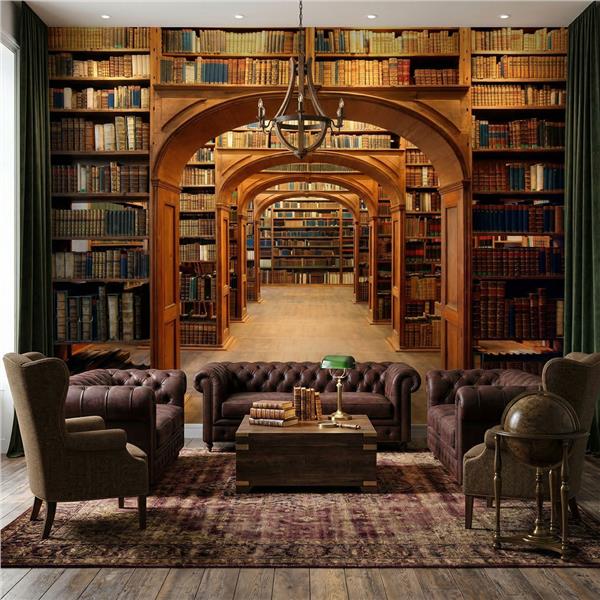 Kemerli Klasik Kütüphane ve Kitaplık Desenli Duvar Kağıdı