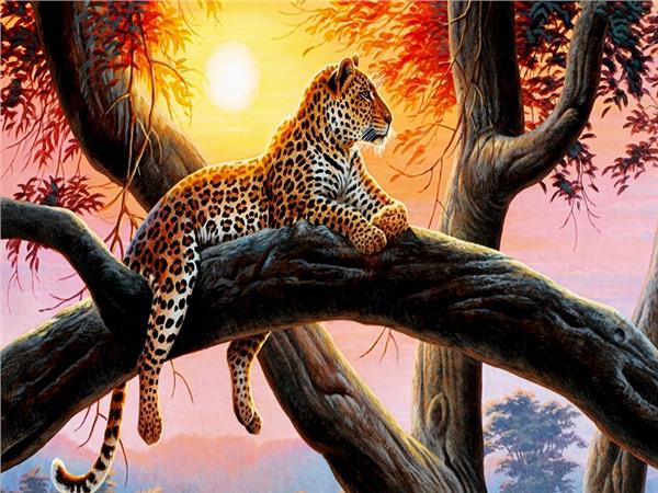 Leopar Tasarım Duvar Kağıdı