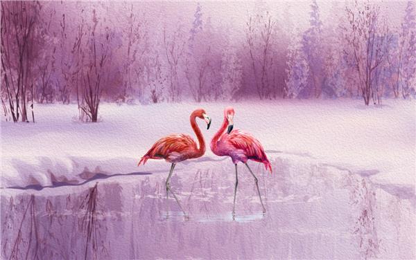 Pembe Flamingo Tropikal Duvar Kağıtları