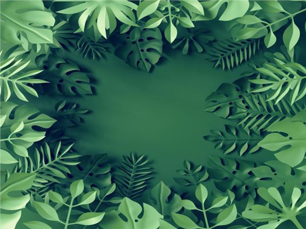 3D Yeşil Yapraklar 3D Duvar Kağıdı